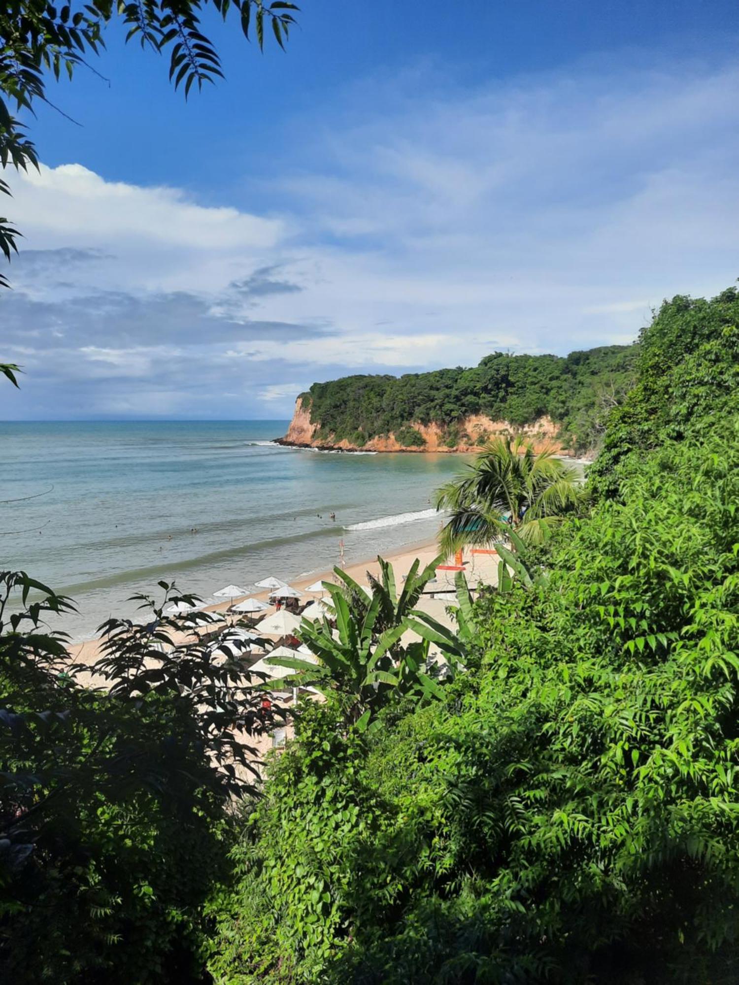 Casas Pipa Brasil *